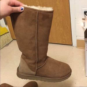Tall Chestnut Uggs